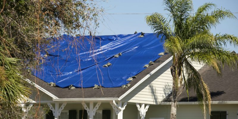 Damaged in hurricane house roof covered with blue protective tarp against rain water